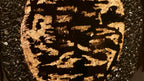GOLDEN LATTICE