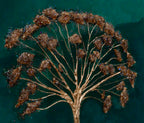 GOLDEN ROOTS